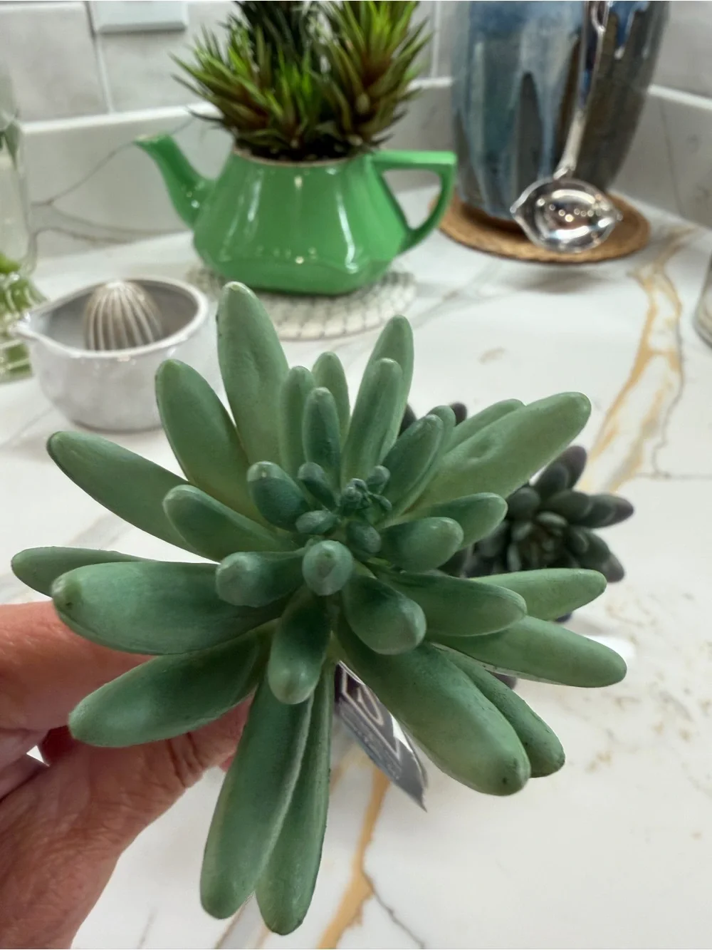 Artificial Succulent Arrangement in Green -